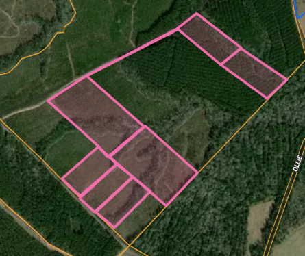 Build Your Dream in the Peaceful Countryside – 11.29 Acres in East Texas!